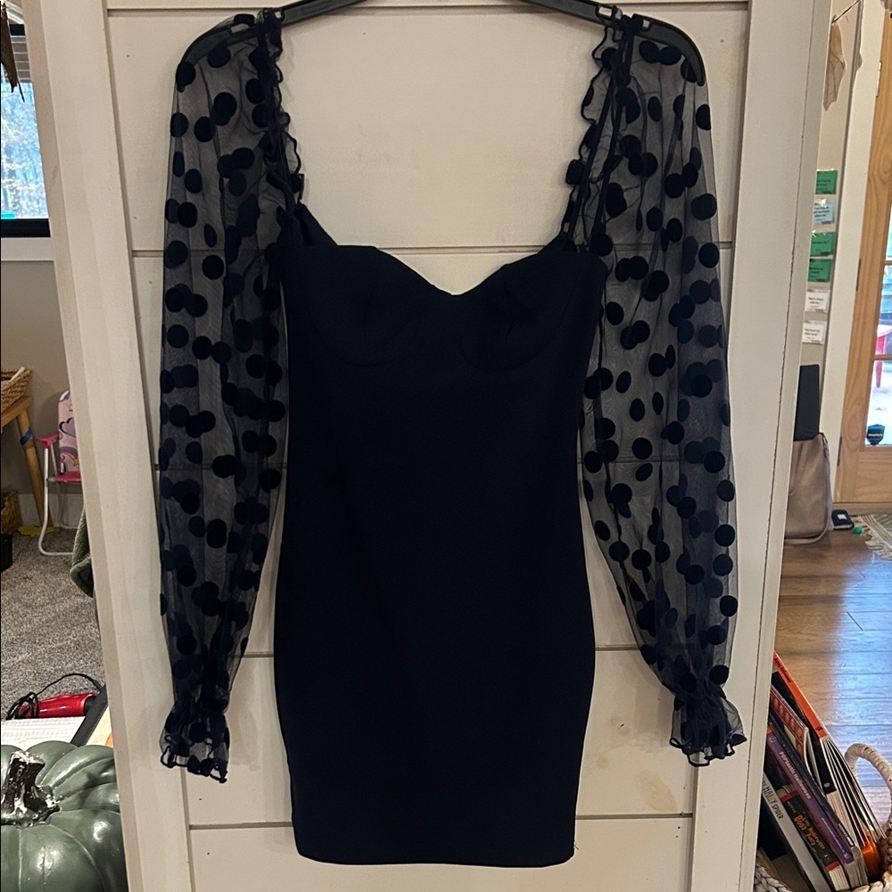 Blue Dress with Sheer Polka Dot Sleeves